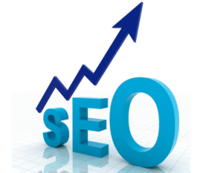 SEO Consultant